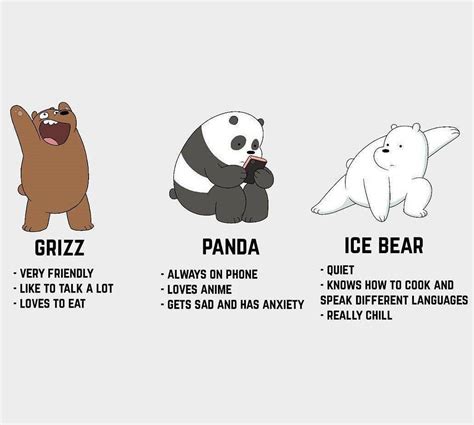 we bear bears names.